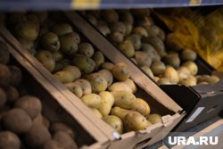 В Курганской области картофель и капуста подорожали на 40%